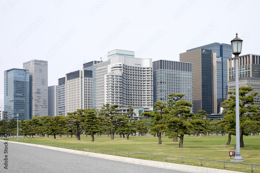 City Scape Tokyo building city Skyline (Marunouchi) with the Imperial Palace East Garden , Japan City Scape Tokyo building city Skyline (Marunouchi) with the Imperial Palace East Garden , Japan