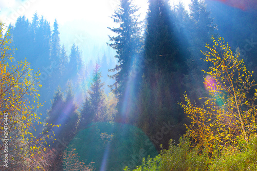 the sun's rays pass through the autumn forest in the mountains