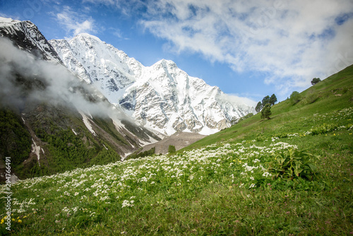 Alpine meadows of the North Caucasus
