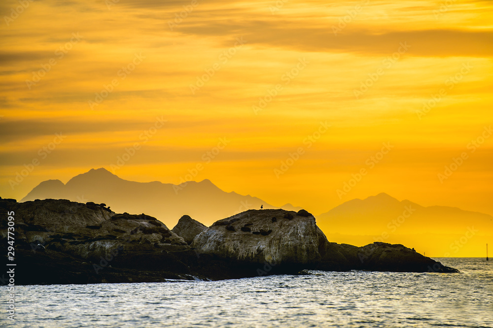 Seascape in the morning. The colony of seals on the rocky island. South Africa.Seascape in the morning. The colony of seals on the rocky island. South Africa. Seascape in the morning. The colony of seals on the rocky island. South Africa.Seascape in the morning. The colony of seals on the rocky island. South Africa.