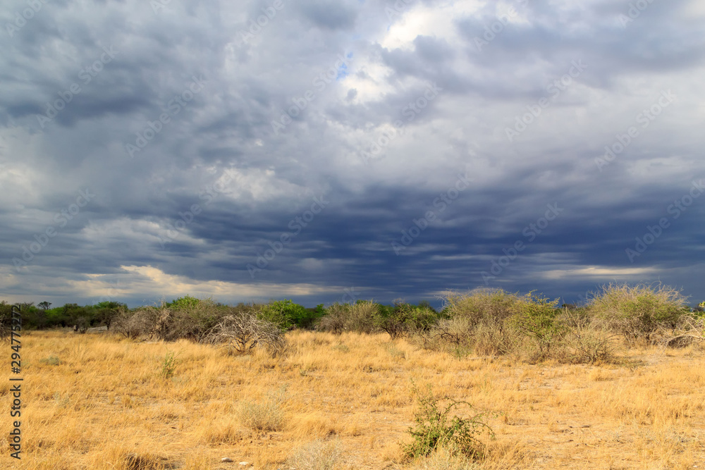 Storm clouds over Etosha National Park, Namibia, Africa