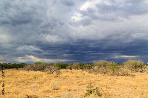 Storm clouds over Etosha National Park  Namibia  Africa