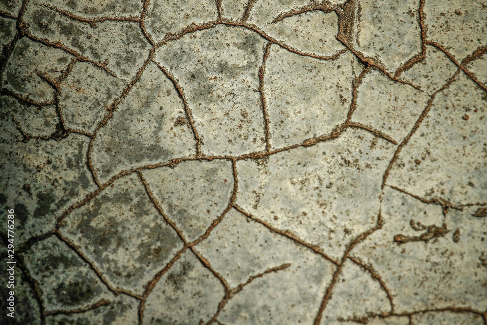 Obraz premium cracked wall texture background.