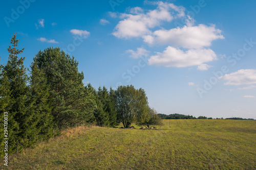 Glazowisko Bachanowo - meadow covered with boulders in Suwalski landscape park  Podlaskie  Poland