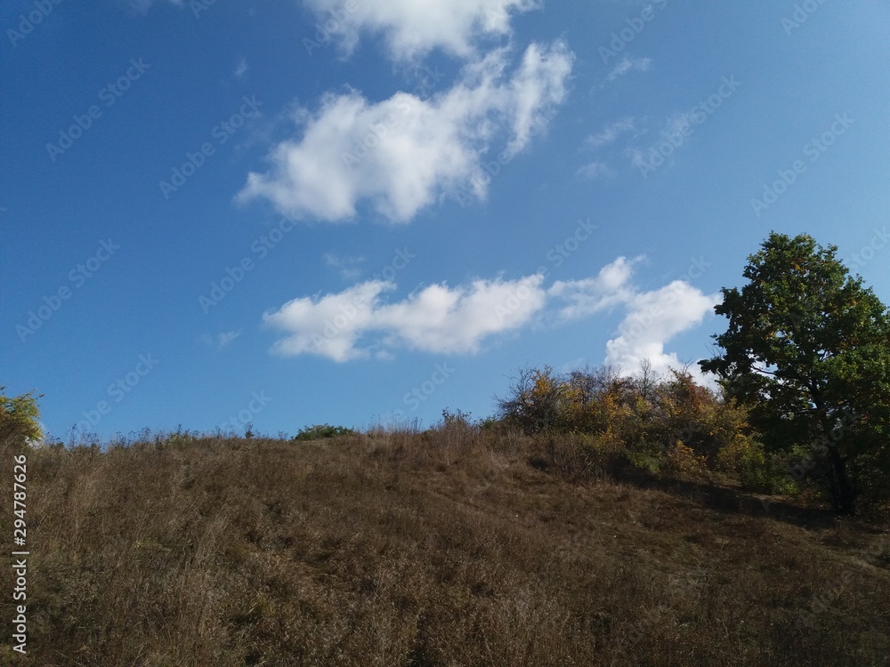 Tree.nature.forest.landscape.autumn. Tree.nature.forest.landscape.autumn.