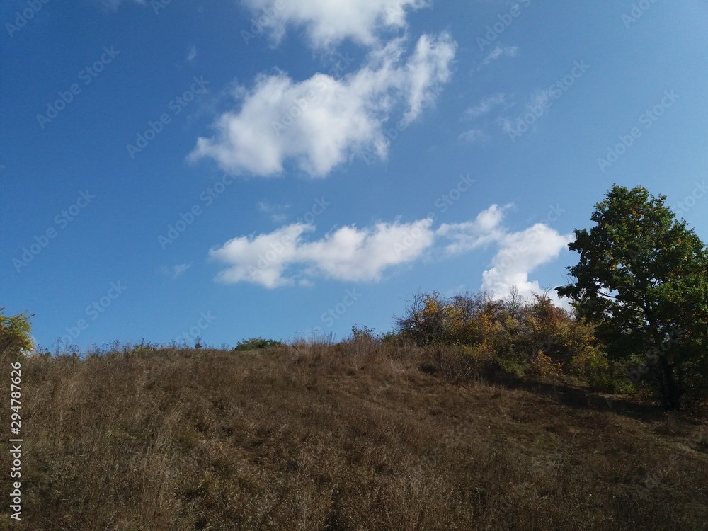 Tree.nature.forest.landscape.autumn.