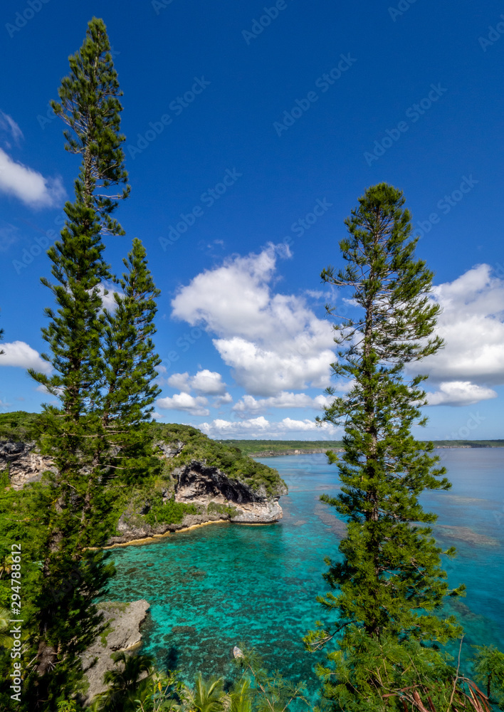 Pines overlooking a bay with clear water and white clouds against a blue sky