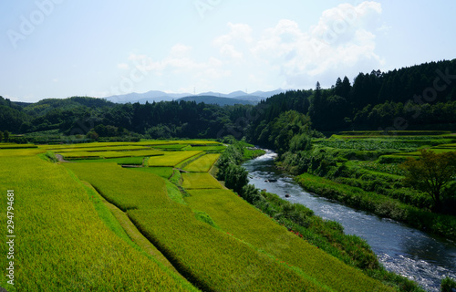 棚田と清流の風景、熊本菊池市の棚田と菊池川の源流風景、遠くに見える阿蘇山と棚田の風景