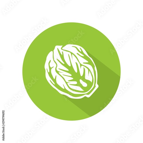 Cabbage or lettuce icon vector. illustration of cabbage or lettuce isolated on green circle. healthy vegetable, nutrition icon