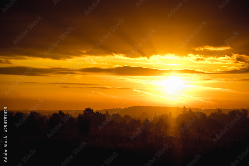 Morning summer foggy dawn in the field. Summer landscape. The sun is waking up. The sky and the sun. Golden sky. The lights of a sun. Golden dawn.