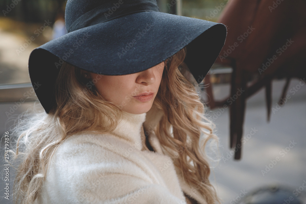Portrait of a blonde lady. Portrait of a blonde lady.