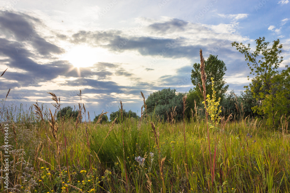 Obraz premium nature landscape