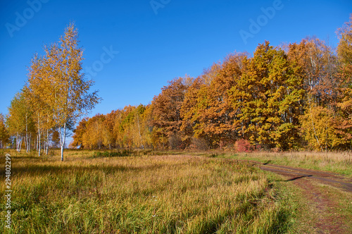 Autumn landscape in fine weather of the southeast of the Moscow region