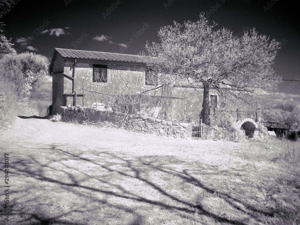 Obraz premium OLYMPUS DIGITAL CAMERA