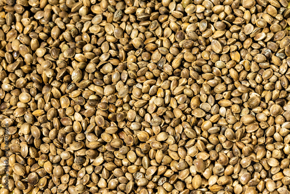 Dry cannabis hemp seeds background Dry cannabis hemp seeds background