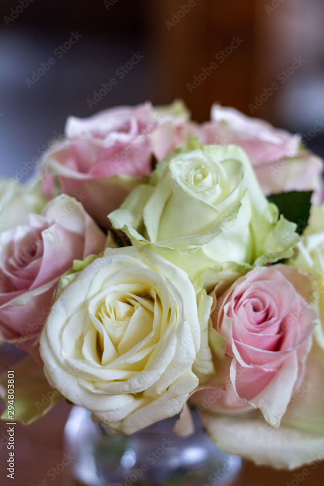 Rose Rose