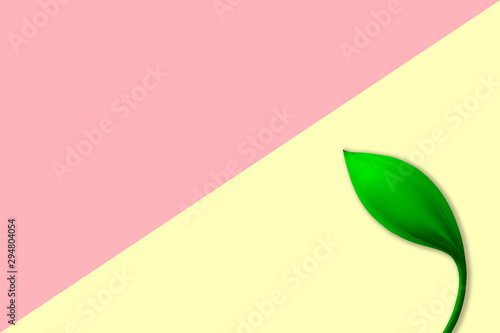 green flower on pink and yellow pastel color abstract spring nature wallpaper background