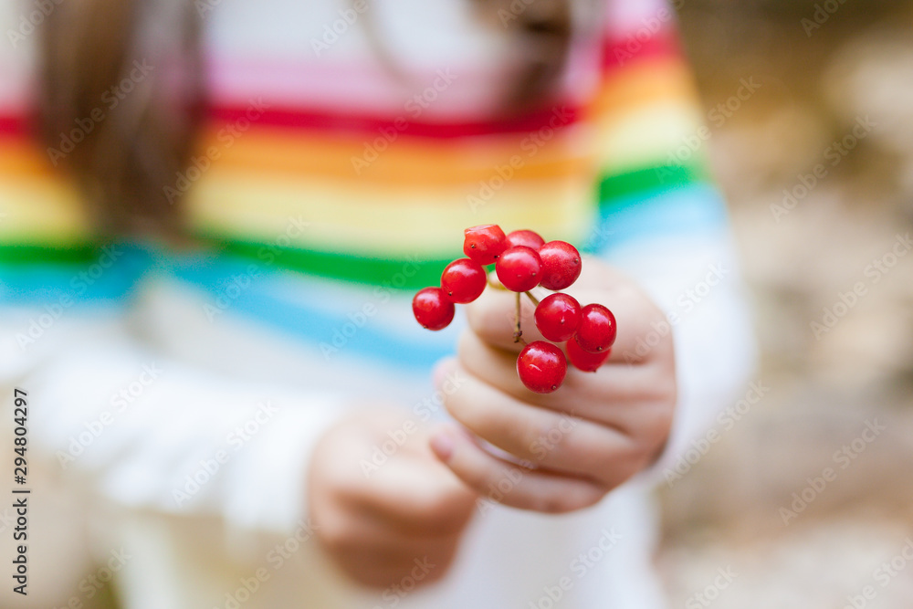 Little child girl holding a rowan branch in her hands. focus on the foreground. Seasonal Autumn Berries Little child girl holding a rowan branch in her hands. focus on the foreground. Seasonal Autumn Berries
