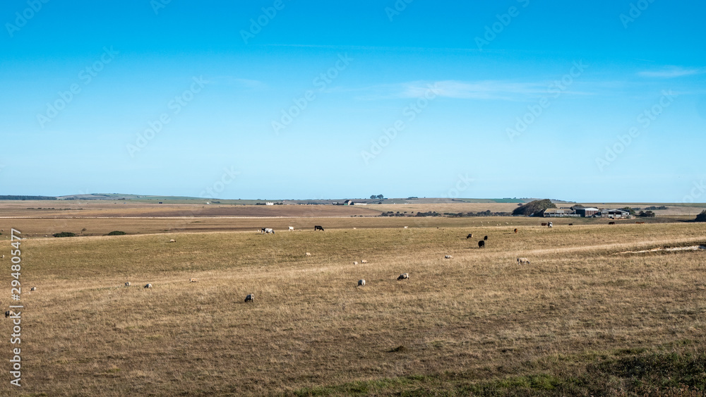 Farming on the South Downs plains. The agricultural East Sussex landscape of the South Downs national park on a bright autumnal day. Farming on the South Downs plains. The agricultural East Sussex landscape of the South Downs national park on a bright autumnal day.
