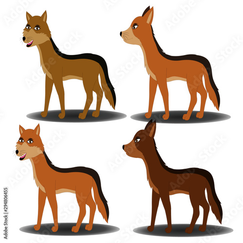 Four Brown Jackals - Cartoon Vector Images