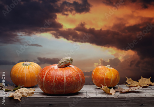 Orange round pumpkins on an old surface. Gloomy crimson sky with clouds. October  Halloween. Copy space.