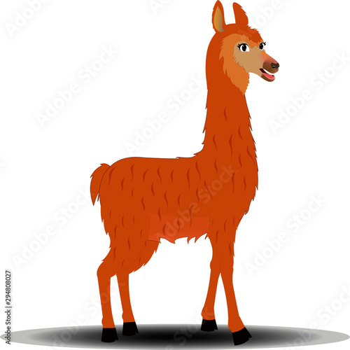 Smiling Llama - Cartoon Vector Image