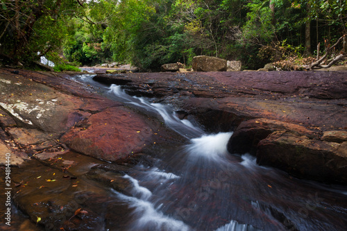 Jungle stream in the mountains in Sri Lanka