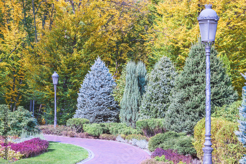  Fragment of the park in Mezhyhiria near Kiev, Ukraine. photo