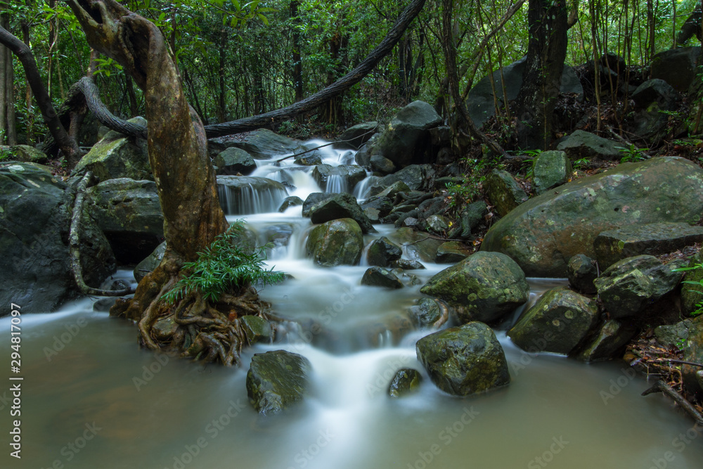 Fototapeta premium waterfall in the forest
