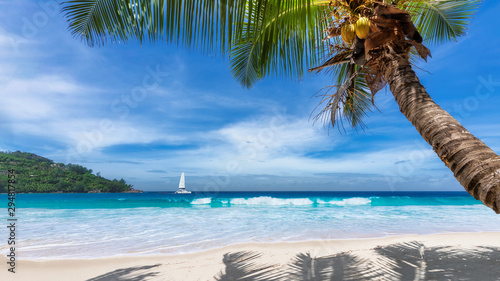 Fototapeta Naklejka Na Ścianę i Meble -  Sandy beach with palm trees and a sailing boat in the turquoise sea on Paradise island.	