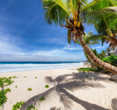 Tropical Beach. Sandy beach with palm and turquoise sea. Summer vacation and tropical beach concept. 