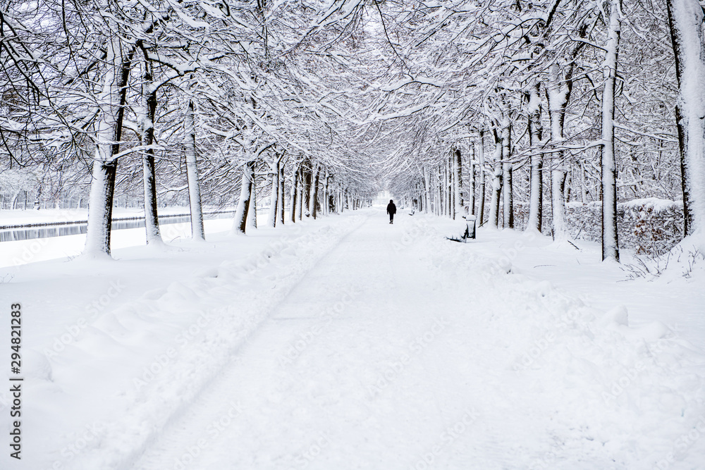 a beautiufl winter in europe and a winter wonderfland a beautiufl winter in europe and a winter wonderfland