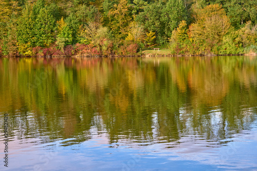 reflection of the autumn forest in the lake © Juri