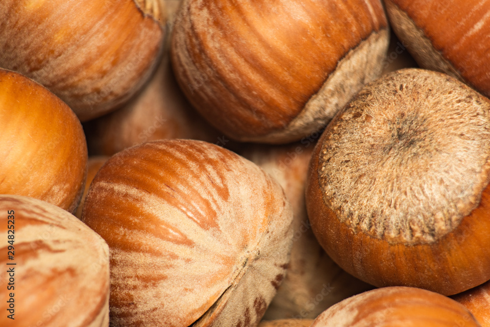 Background from brown hazelnuts, soft focus Background from brown hazelnuts, soft focus