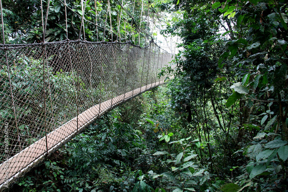 Canopy Rope Bridge Canopy Walkway Rope Bridge at the Kakum National Park near Cape Coast ...
