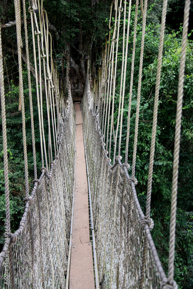 Canopy Walkway Rope Bridge at the Kakum National Park near Cape Coast