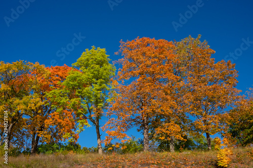 Beautiful fall colors in Naantali, Finland.