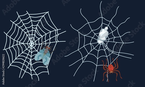spider web set in flat style. vector work
