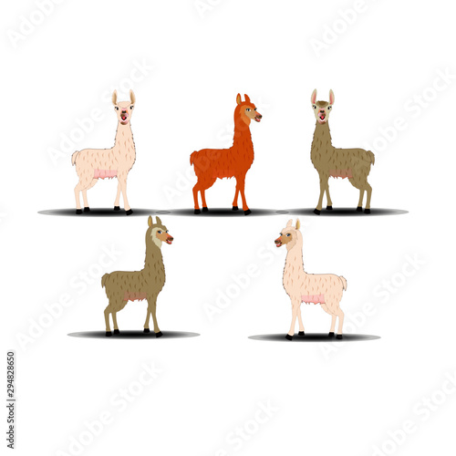 Llama - Cartoon Vector Image Collection