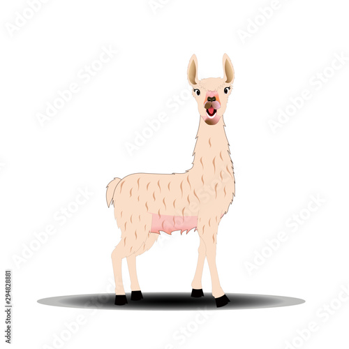 Llama - Cartoon Vector Image Collection