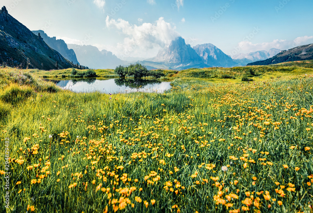 Fototapeta premium Sunny summer view of Sassolungo (Langkofel) range in National Park Dolomites, South Tyrol, Italy, Europe. Splendid morning scene of Gardena valley, Dolomiti Alps. Beauty of nature concept background.