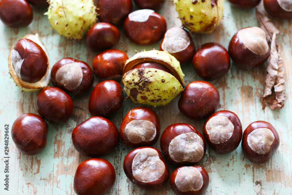 Kastanien im Herbst, Herbstanfang, Früchte der Rosskastanie, Deko, balsteln, waschen, Nutzung zum alternativen Waschmittel, Saponine in der Kastanie Kastanien im Herbst, Herbstanfang, Früchte der Rosskastanie, Deko, balsteln, waschen, Nutzung zum alternativen Waschmittel, Saponine in der Kastanie