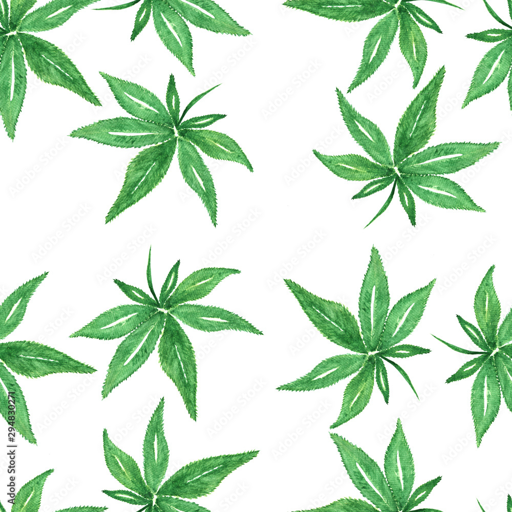 seamless pattern of watercolor marijuana leaf, cannabis leaf isolated