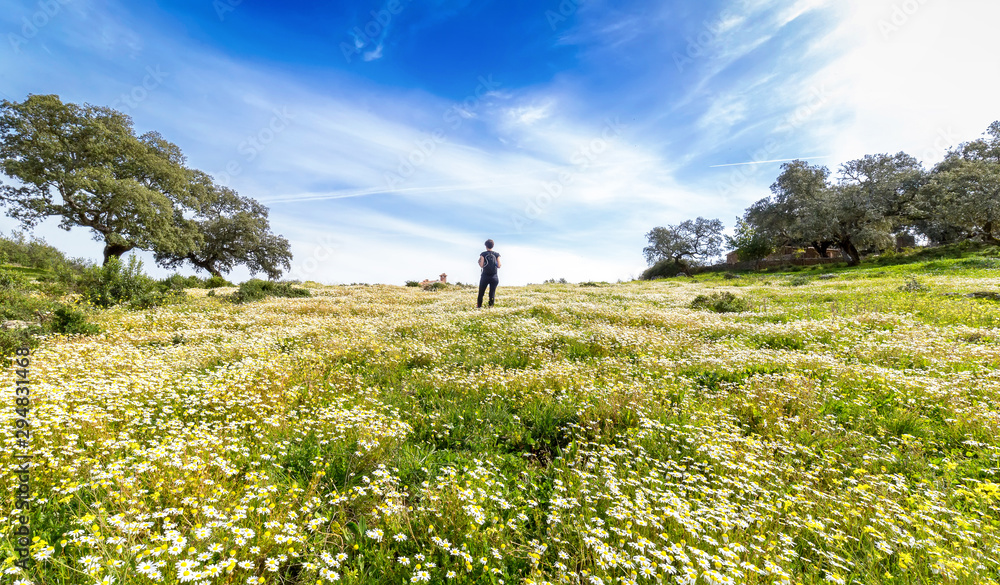 Traveling woman with backpack walking in flowery field. Blue sky and Sunny spring day, rear view. Freedom concept background. Traveling woman with backpack walking in flowery field. Blue sky and Sunny spring day, rear view. Freedom concept background.