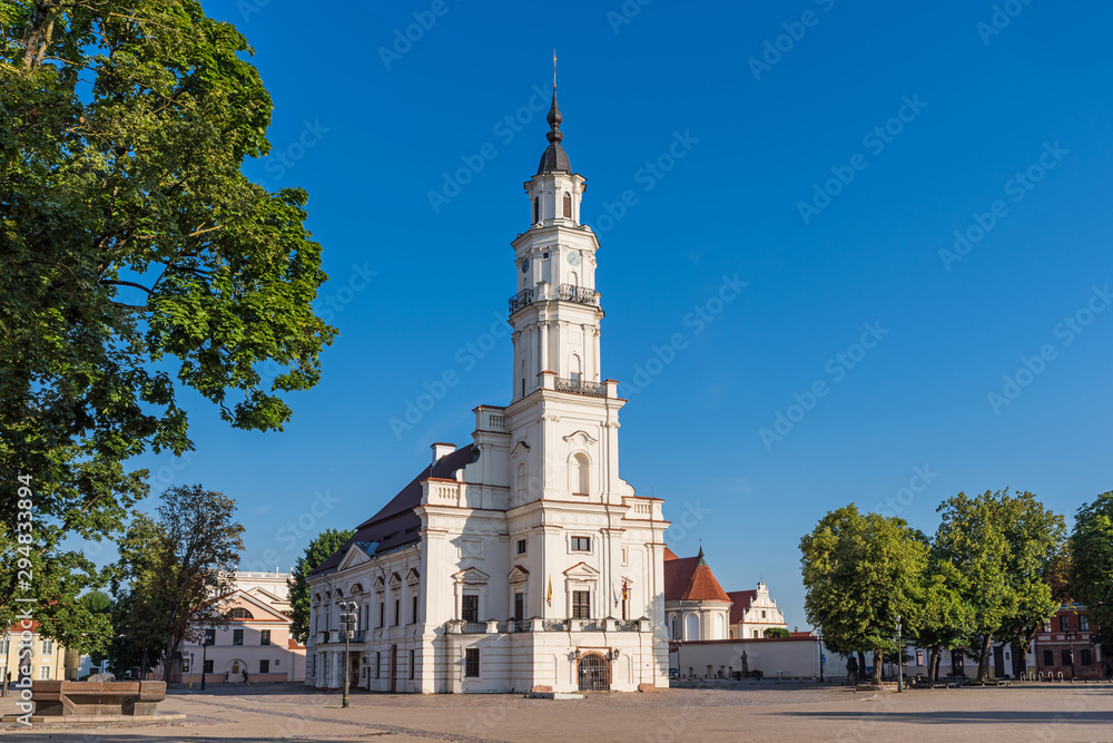 Kaunas - White Swan Town Hall in the center of Kaunas in Lithuania