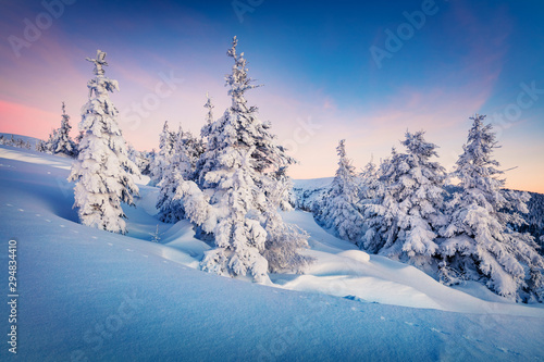 Spectacular winter sunrise in Carpathian mountains with snow covered fir trees. Stunning outdoor sceneof mountain forest. Beauty of nature concept background. © Andrew Mayovskyy