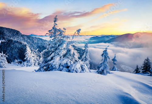 Frosty winter sunrise in Carpathian mountains with snow covered fir trees. Impressive morning scene of mountains hills covered by fog. Beauty of nature concept background. © Andrew Mayovskyy