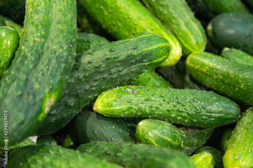 Freshly harvested small and big green cucumbers close-up in paper boxes on farmer s market shelves. May be used as background in agriculture topics