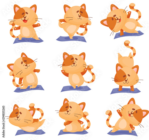Cute orange kitten does yoga. Vector illustration.