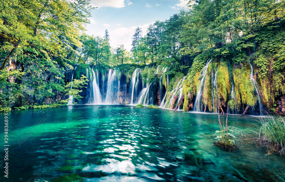 Fresh morning view of pure water waterfall in Plitvice National Park. Picturesque spring scene of green forest with small lake, Croatia, Europe. Beauty of nature concept background. - obrazy, fototapety, plakaty 